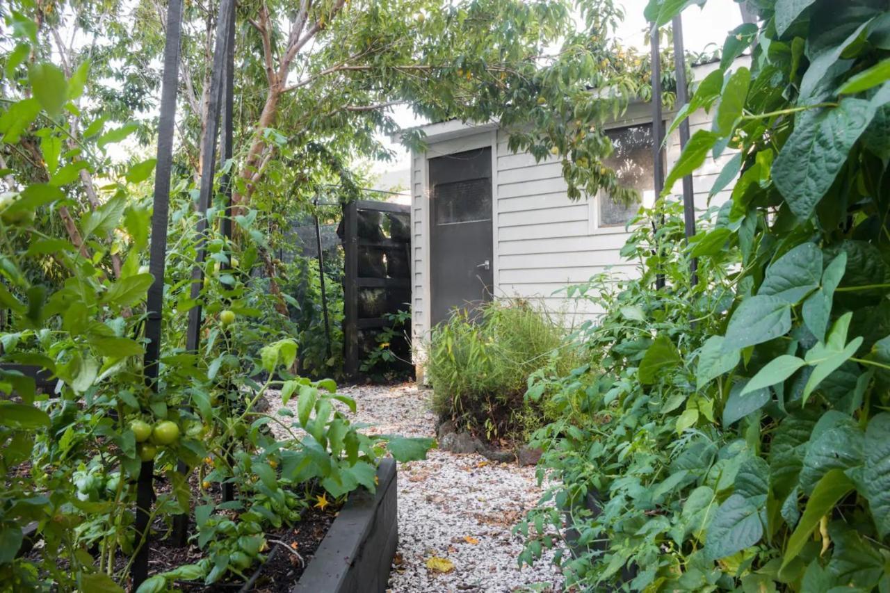 2 Bedroom Garden Oasis In Mount Eden Auckland Exterior photo